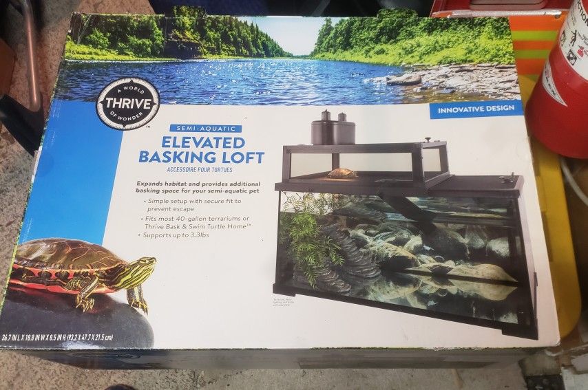 Turtle Stuff Bundle