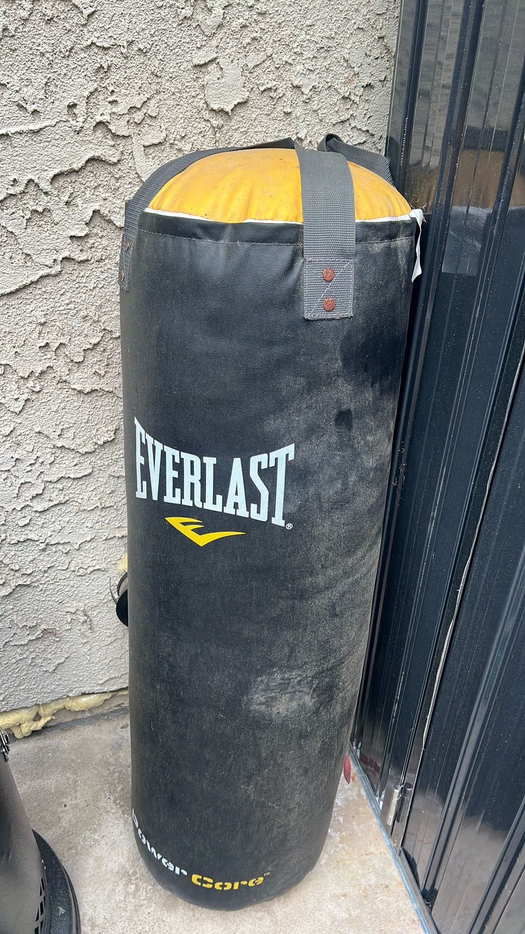 Punching Bag (Dirty But Like New )