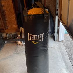 80lb Everlast Bag