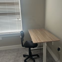 Standing Electric Desk 