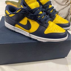 Michigan Dunks 