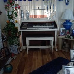 Technics Organ