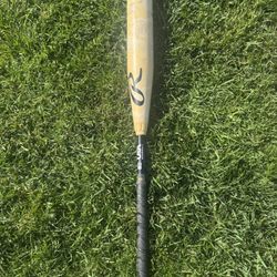 Rawlings Icon USA 31”