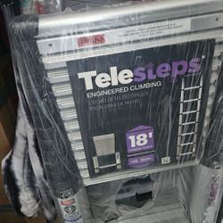 Telescope Ladder