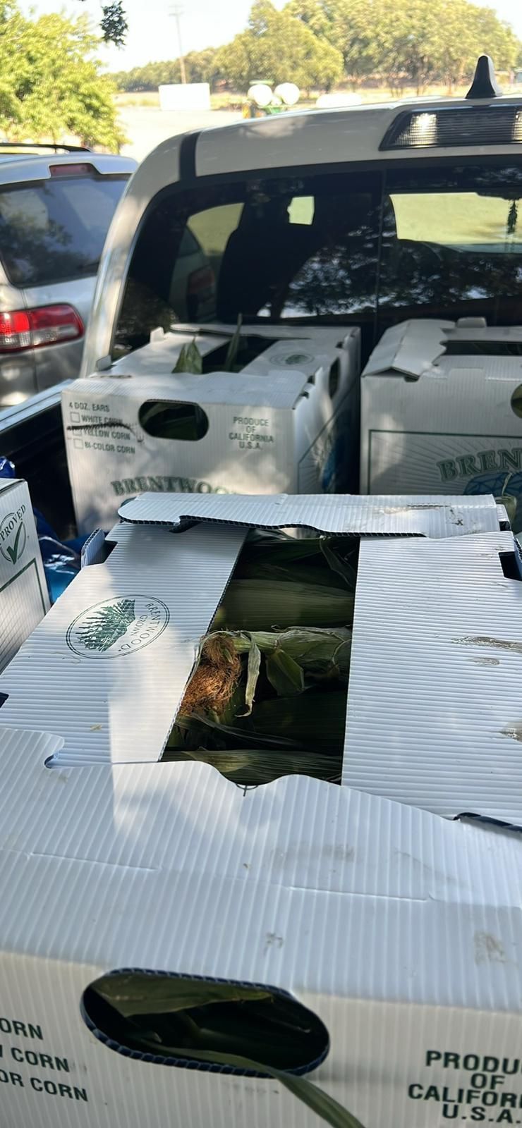 Box Of Corn