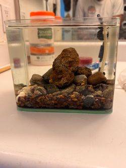 Fish tank
