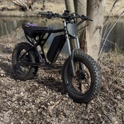 ridstar q20 e-bike