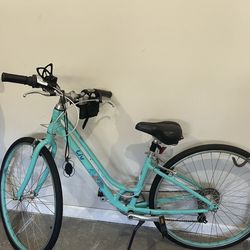 Liv Flourish 4 XS Women’s Bike