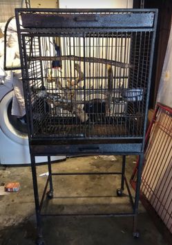 Bird cage