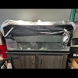75 Gallon Fish Tank With Stand