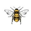 Bamble Bees  