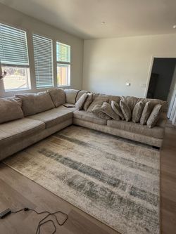 Couch shampoo