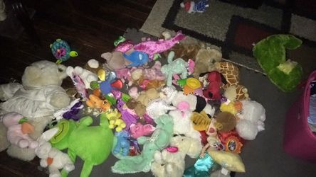 Plushied/stuffed animals