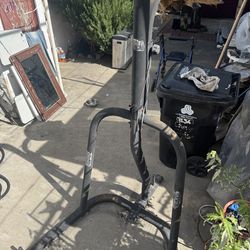 Punching bag apparatus