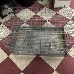 Animal Cage
