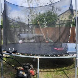 Brincolín 100 dólar