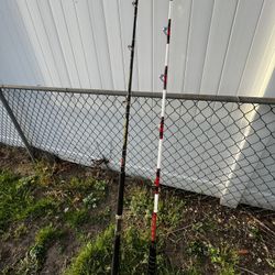 Salt Water Fishing Rods