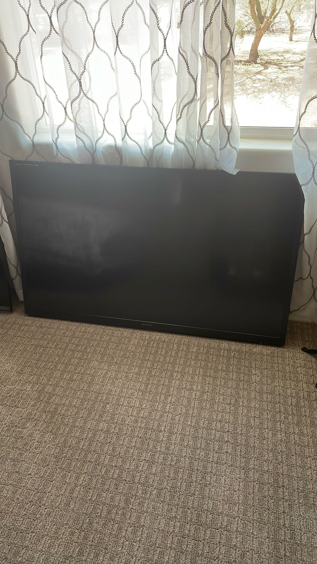 65 Inch Sony Aquos TV