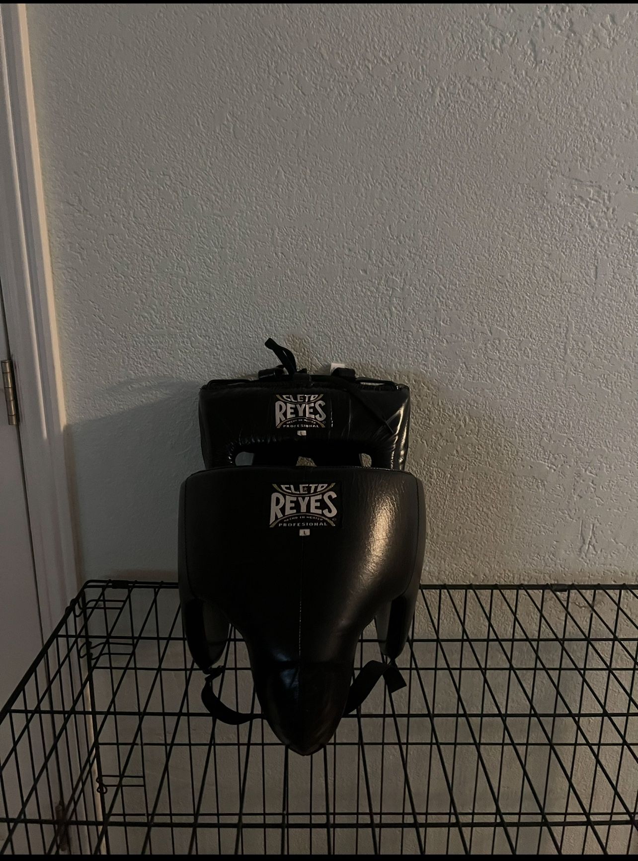 Cleto Reyes Sparring Set - Large