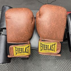 Boxing Gloves and Training Mit 