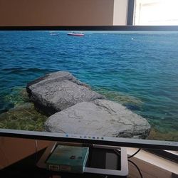 Dell 32" Oversized Jumbo Monitor