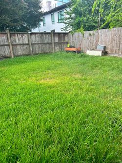 Clean up yard