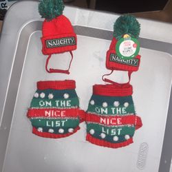 Iguana Christmas Outfit With Hat