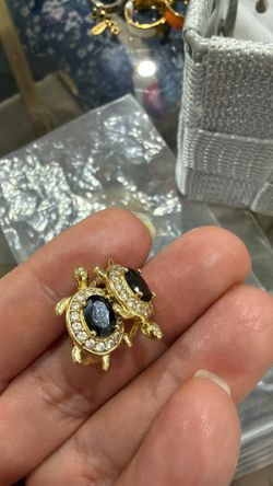 Earrings turtles