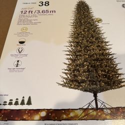 Brand new Christmas Tree 12ft Tall 