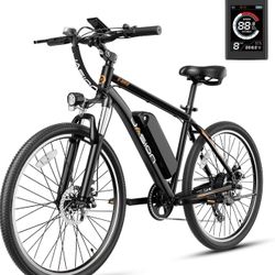 Jason Electric Bike 