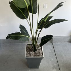 Fake Plant