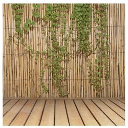 Jumbo Reed Fencing 