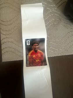 World Cup Panini Sticker