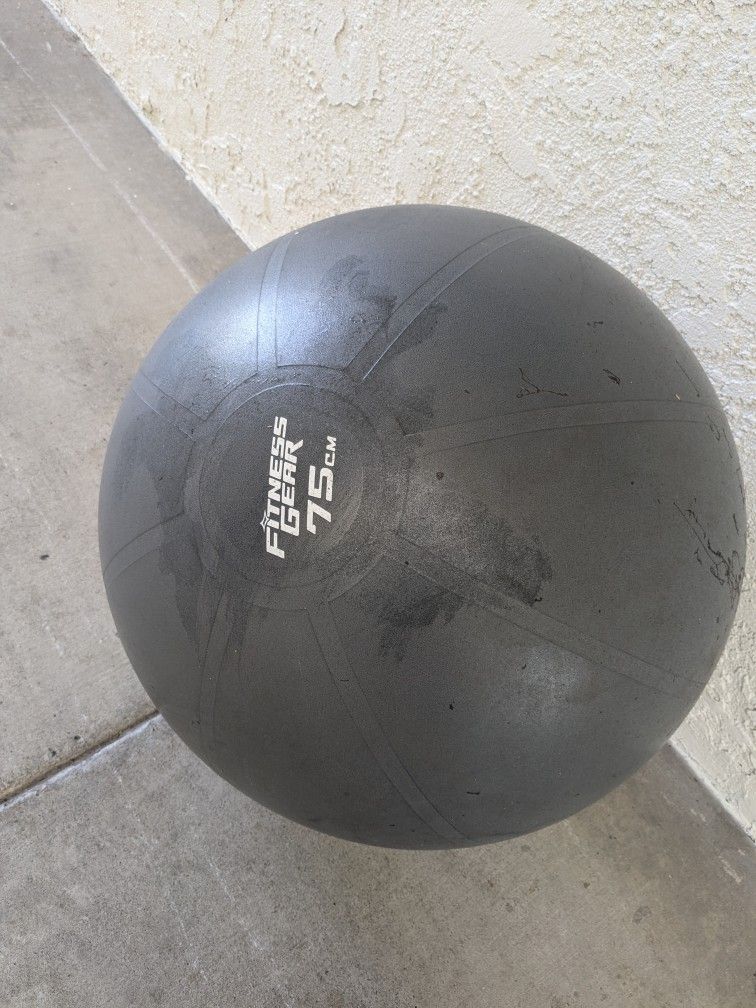 Exercise Ball