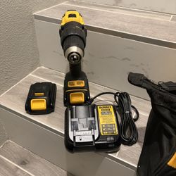 DEWALT 20V Two Batteries +Charger +bag