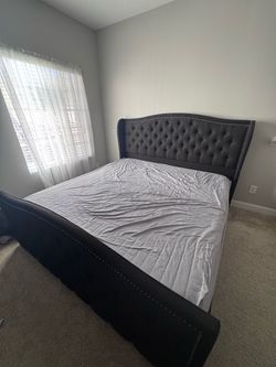 Coleman Upholstered Wingback Bed — King, Black