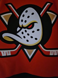 Ducks Jersey