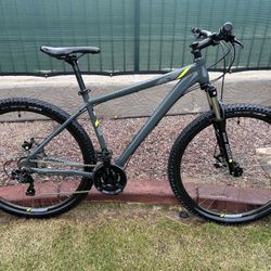 Raleigh Talus 29 Mountain Bike, 29” Wheels, 21-Speeds, Disc Brakes, Large Frame, FULL Tune-up, VERY CLEAN!