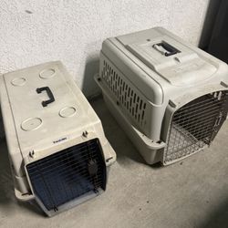Dog travel Crates