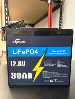 12V 30Ah LiFePO4 Battery With BMS