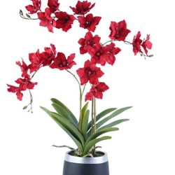 Flower Arrangement Decor