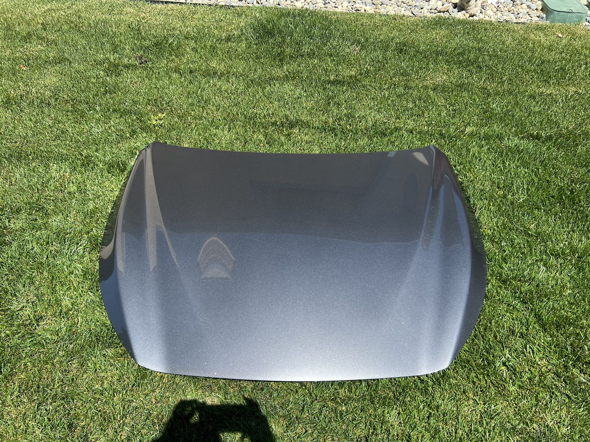 2014-2023 Infiniti Q50 Hood Only