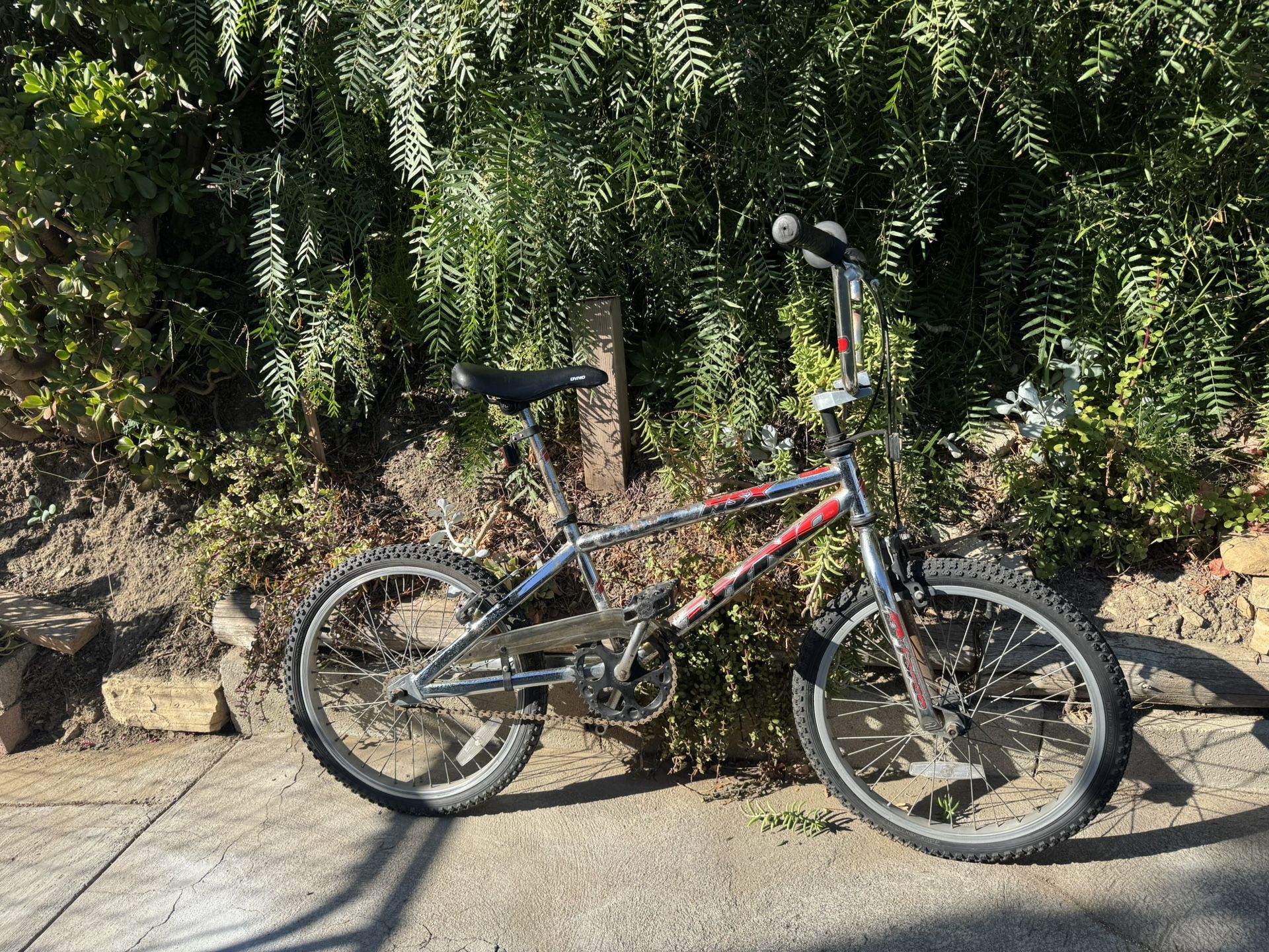 vintage Dyno NSX bike