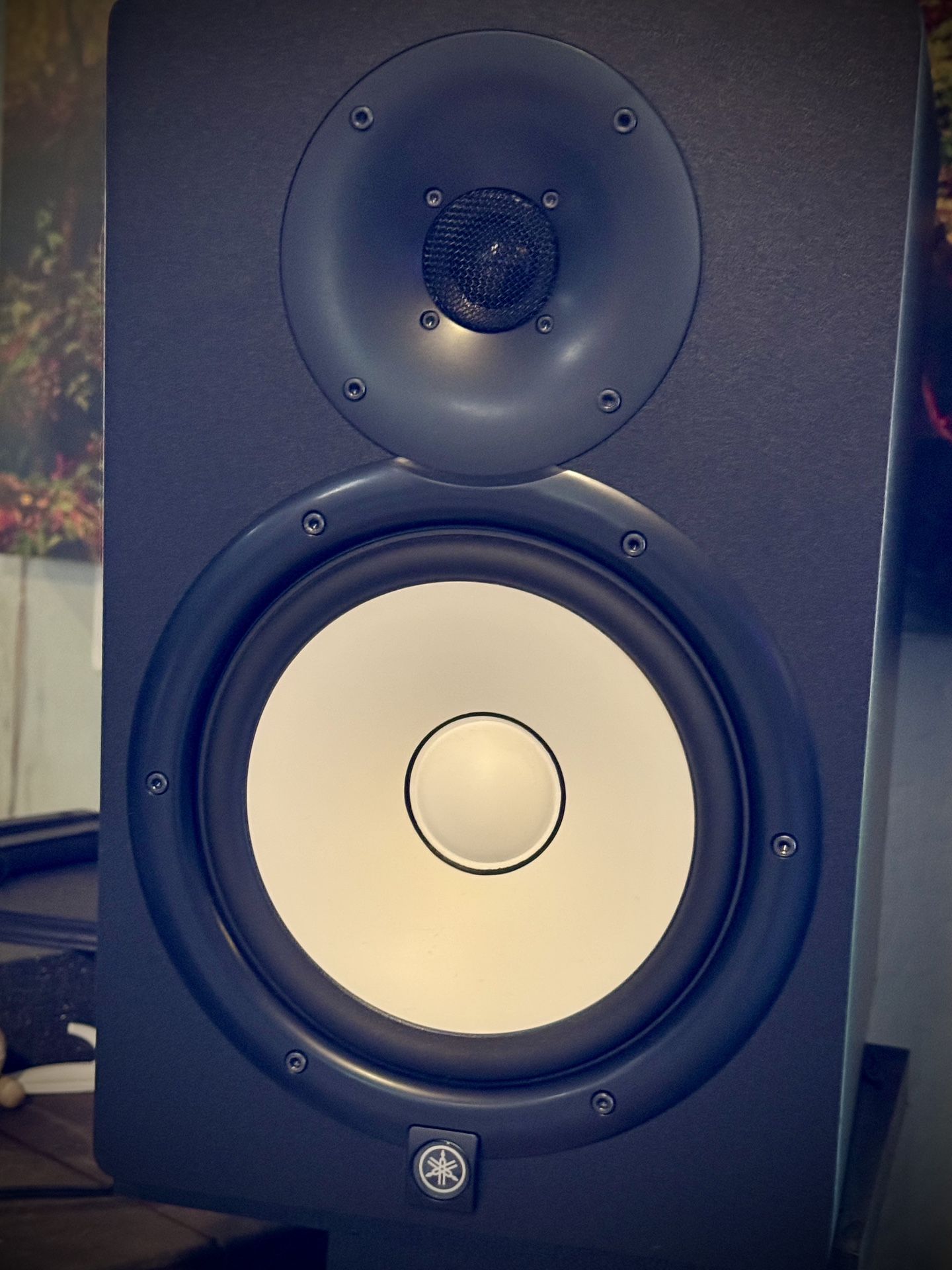 Yamaha 8” Monitors Pair $500
