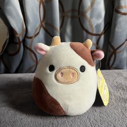 Ronnie Squishmallow 
