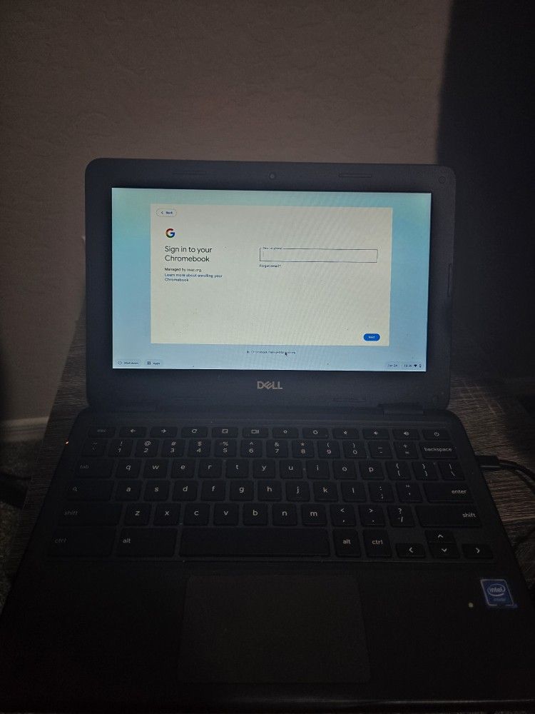 Dell Chromebook 3100