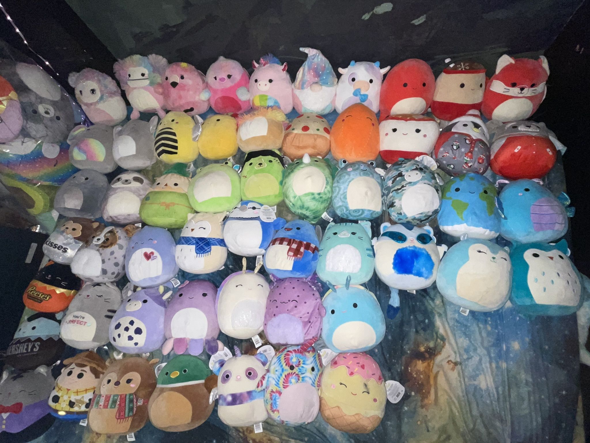 8 Inch Squishmallow Lot