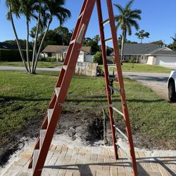 Werner Ladder