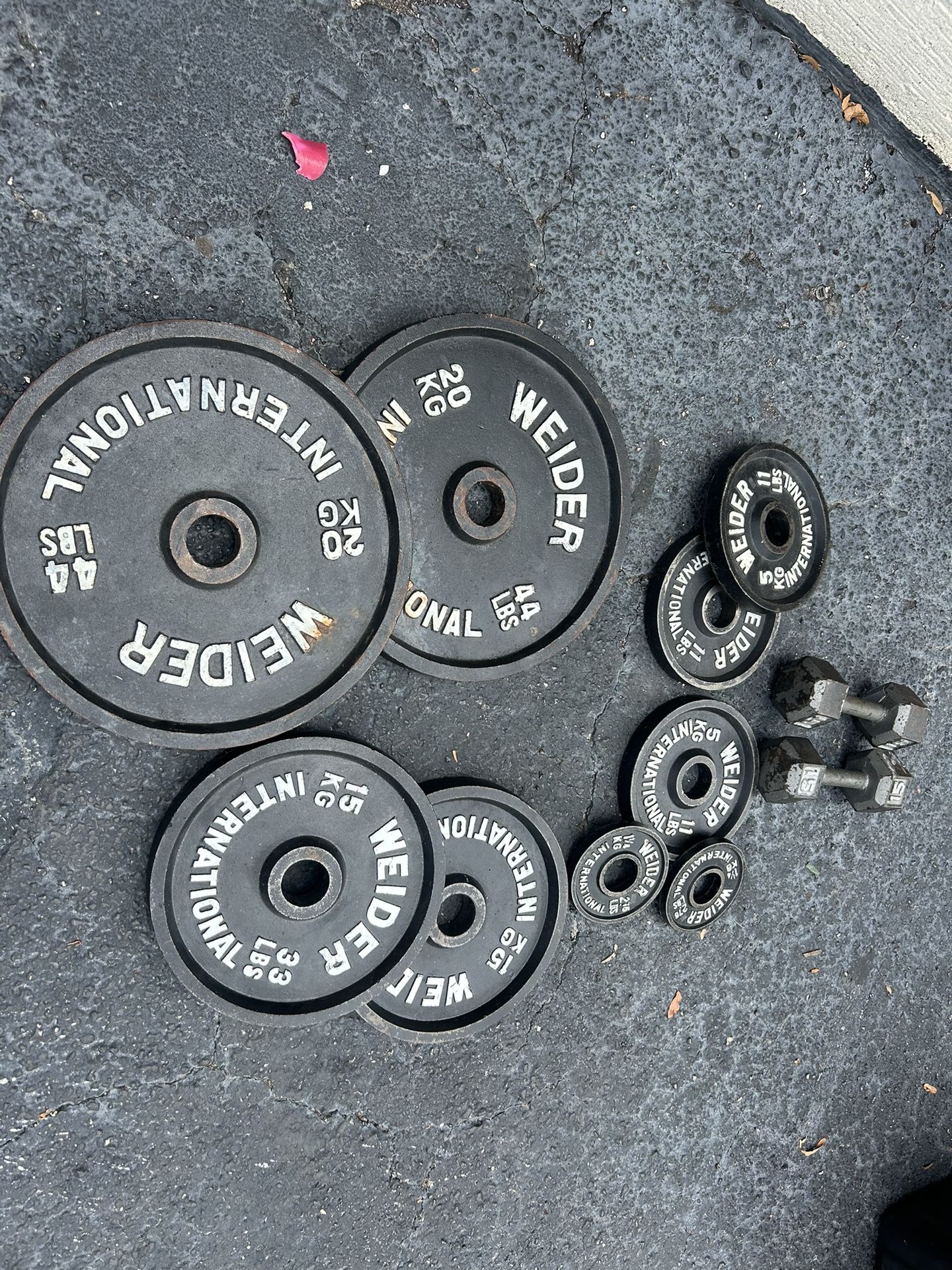 Lot Of Weights Plate