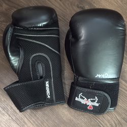 Boxing gloves